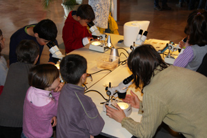 Atelier 2