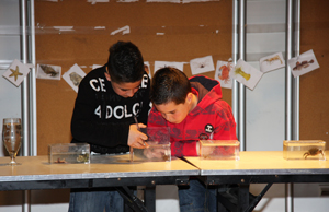 Atelier 6