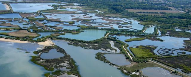 Tout savoir sur les &eacute;tudes environnementales !