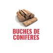 Des buches de conifères