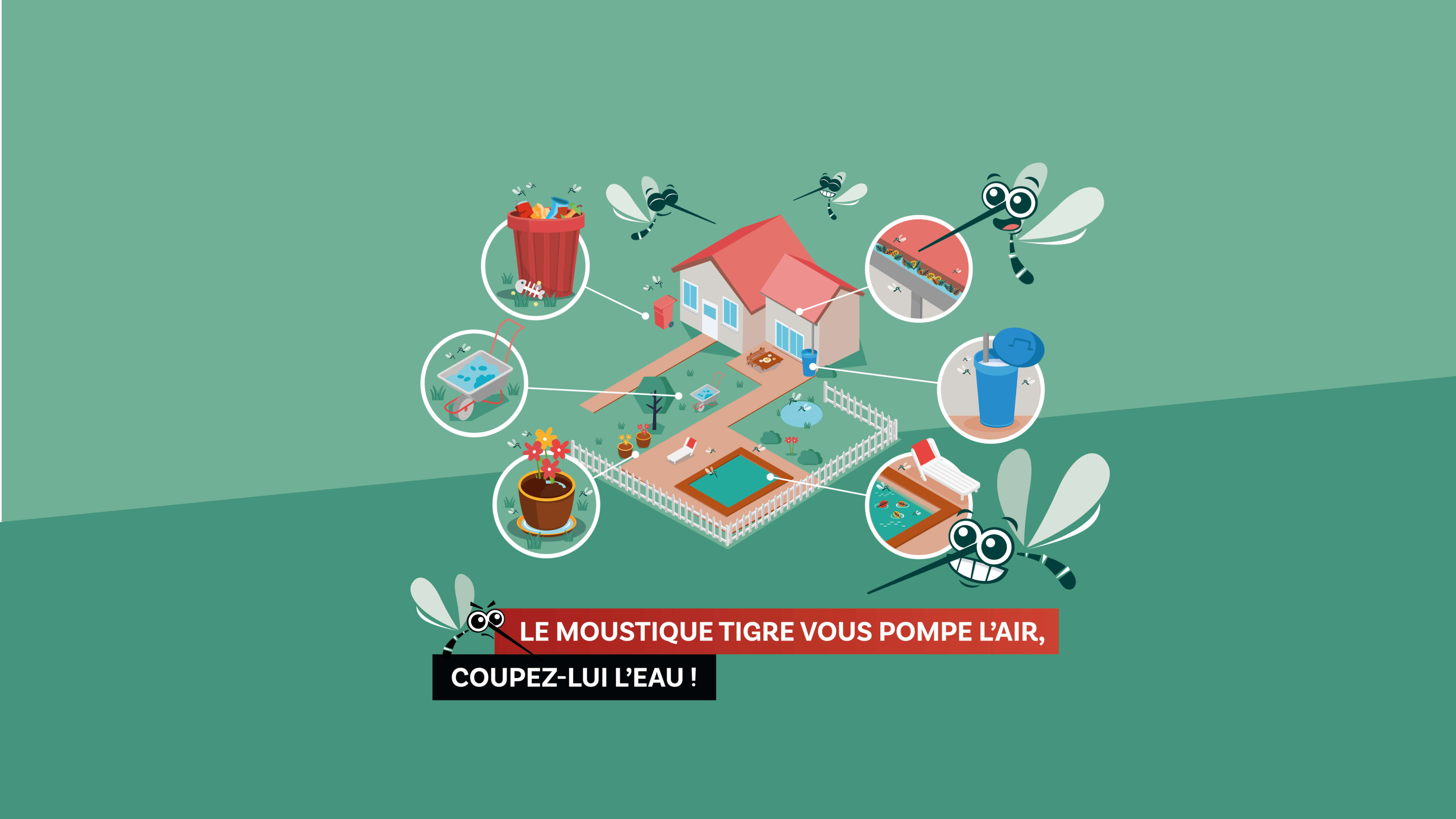 Moustiques