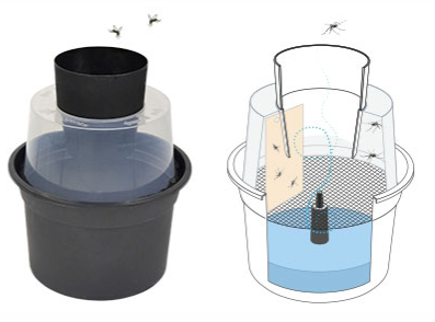 Pièges à moustiques tigres : une nouvelle distribution au Teich ! - Actualités Piège