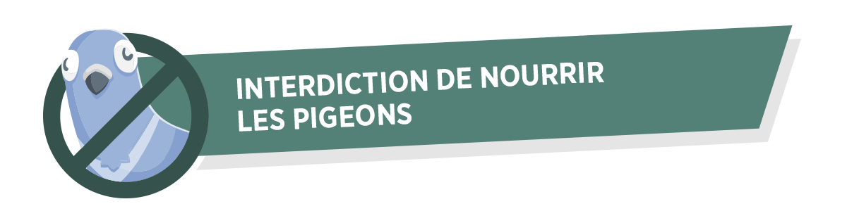 Interdiction de nourrir les pigeons