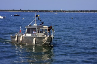 SIBA1