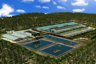 Usine