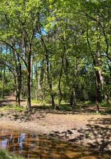 Gérer les eaux de pluie, crastes et fossés