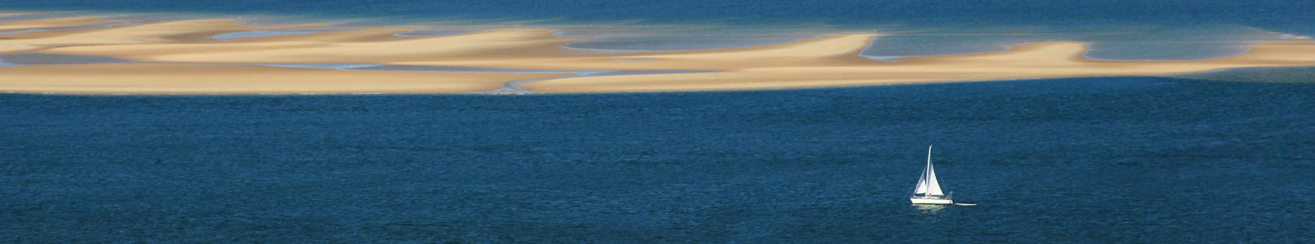 Vue sur le banc d'Arguin